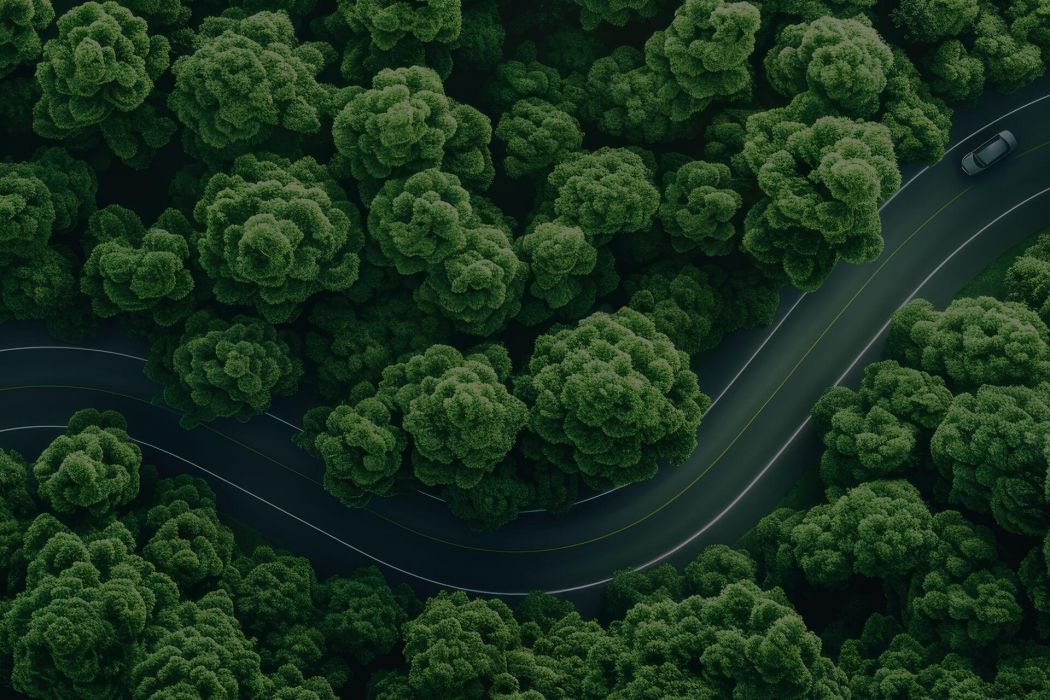 Career-Highways-Pathways